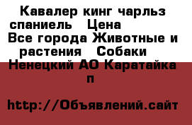 Кавалер кинг чарльз спаниель › Цена ­ 40 000 - Все города Животные и растения » Собаки   . Ненецкий АО,Каратайка п.